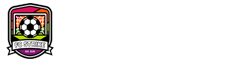 法甲直播